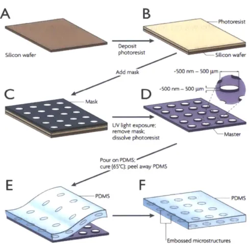 Figure  1-5.  The  fabrication of micropatterns  using  soft lithographic techniques.  (A-B)  A silicon wafer  is spin-coated  with photoresist