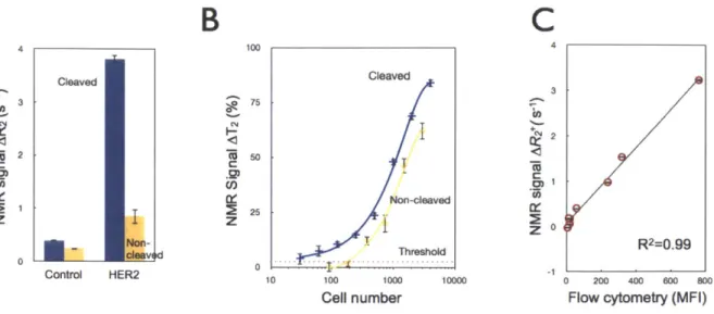Figure 2-3.  Comparison  of the cleavage method  to whole cell detection.  (A) Comparative  NMR signals for  HER2-targeted  SK-OV-3  cells using  the  cleave (blue)  versus the  non-cleave (yellow)  method (-3,500 cells); control  samples were  incubated  