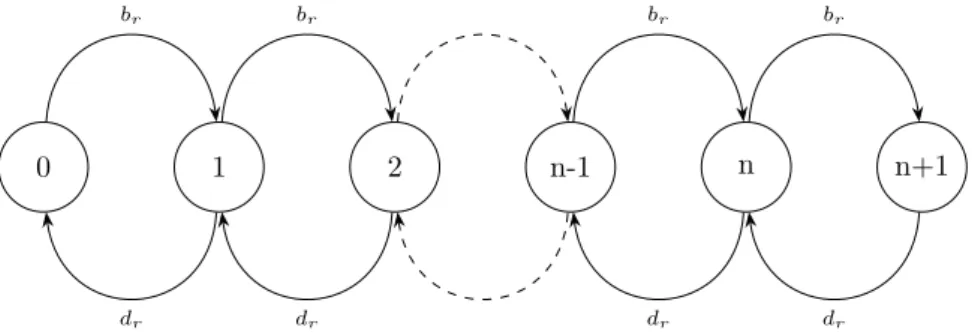 Figure 1.5: Transition between the states in birth and death process