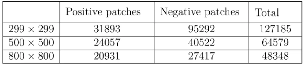 Table 2.1: Number of patches extracted for each patch dimension