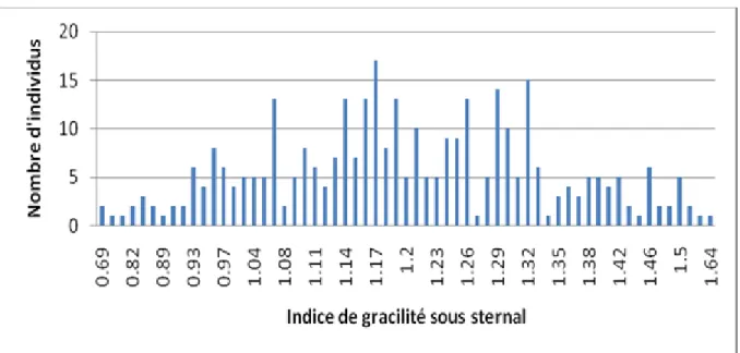 Figure 26: Répartition des individus selon l'Indice de Gracilité Sous sternale. 