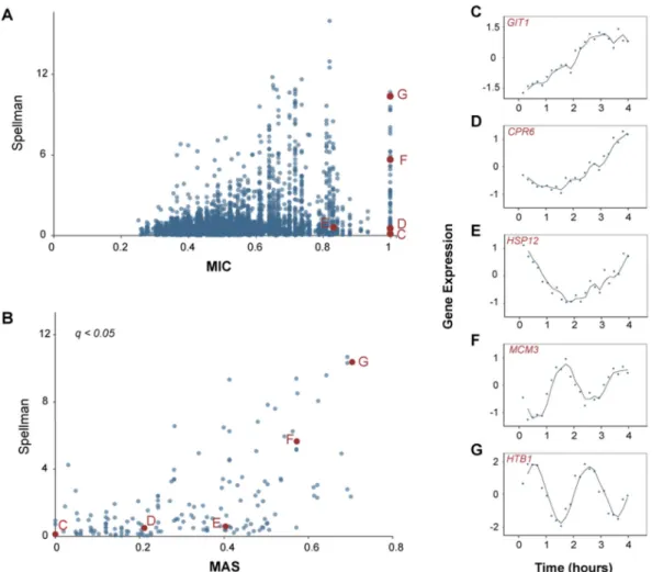 Figure 5. Application of MINE to S cerivisiae Gene Expression Data
