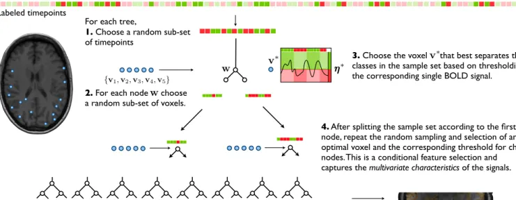 Figure 1: Random forest construction and Gini importance calculation.