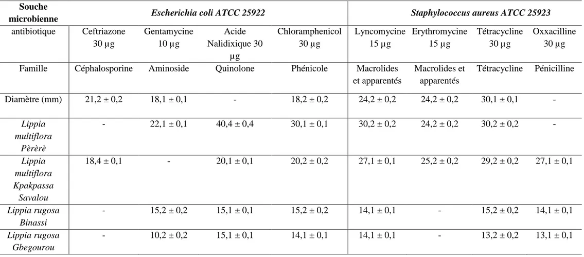 Tableau XXVIII: Sensibilité aux antibiotiques des HE des Verbenaceae testées contre Escherichia coli ATCC 25922   et Staphylococcus aureus ATCC 25923