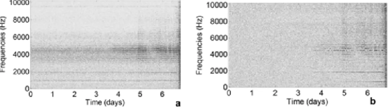 Figure 40 – Jeu de donnée n°2, roulement 1  : a) Spectrogramme du signal brut, b) spectrogramme du signal  prétraité  ; résolution fréquentielle  : 1Hz  ;  