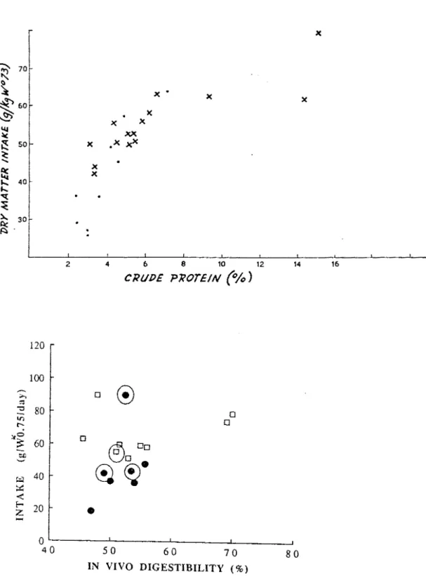 Figure 1-Sb: Relation entre la quantité de MS ingérée (g/kg P0,75) et la teneur(% MS)  en MAT des herbacées (Milford et Minson,  1965a)
