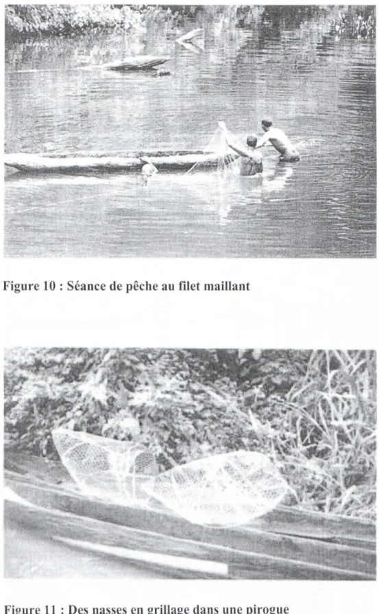 Figure 10  : Séance de pêche au filet  maillant 