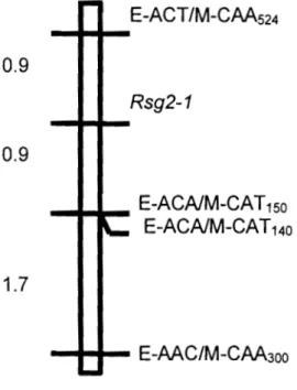 Fig.  2  Linkage map of AFLP  markers E-AAC/M-CAA300,  E-ACAlM-CAT140/150  and  E-ACT/M-CAA524  obtained  with  the  IT82D-849  x  Tvx  3236  F2  progeny
