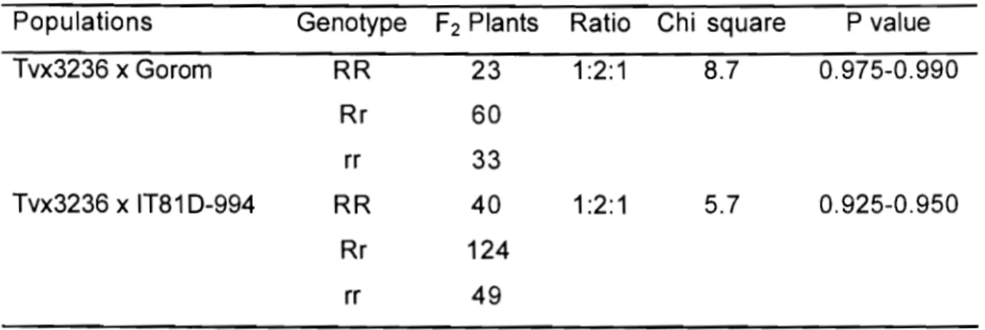Table  1  Segregation  ratios  for resistance to  Striga  gesnerioides  race  1 in  two  F 2 
