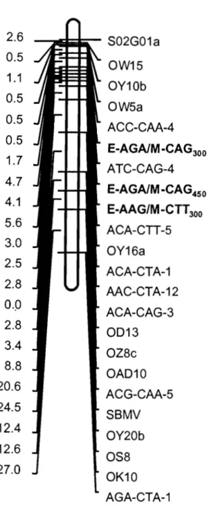 Figure 3. Partial linkage group 6 of the cowpea genetic linkage map. Markers linked to  Rsg3  and 994-Rsg Striga resistance genes are in bold characters