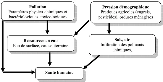 Figure 0 : Cadre conceptuel 