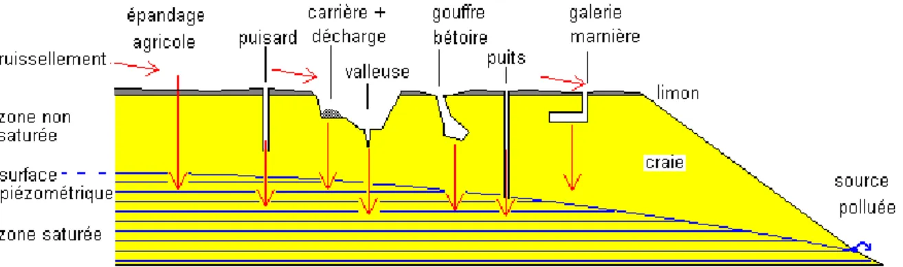 Figure 1: Schéma d’un aquifère montrant ses différentes zones 
