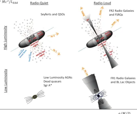 Figure 2.3: Illustration of a typical unification scenario for the AGN phenomenon.