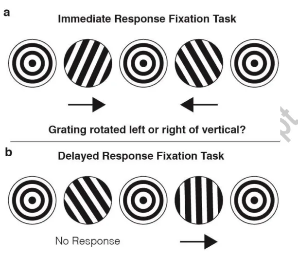 Figure 3: Secondary task diagram for Experiment 2. (a) Immediate response (0-back) secondary      task (oriented grating) as used in Experiment 2