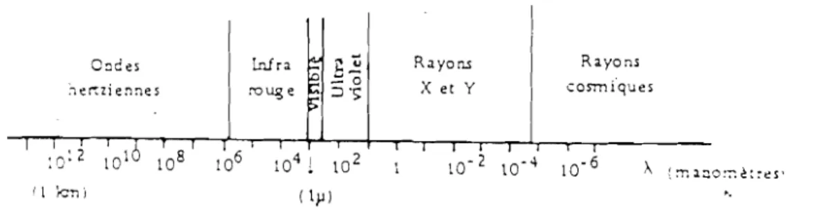 FIGURE 3 : Domaine des radiations électromagnétiques - Situation de la lumière visible dans l'échelle des radiations électromagnétiques, SHEPPARD (108).