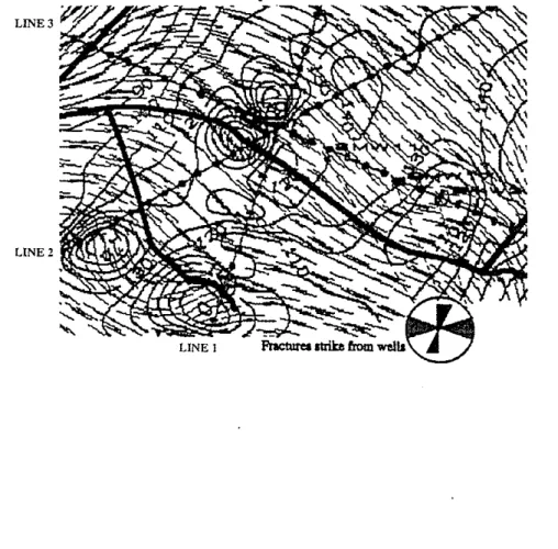 Figure 3: Map view of fracture orientation at reservoir level, obtained from rotation analysis of the three lines (Ata and Michelena, 1995)
