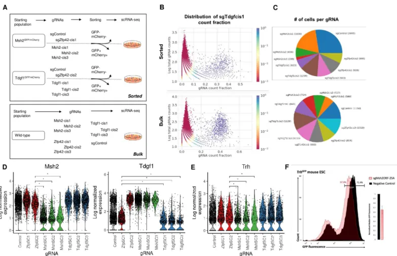 Fig 3. pAC-Seq faithfully recovers gRNA identity and transcriptomic differences in pooled single cell RNA-seq of pre-sorted populations