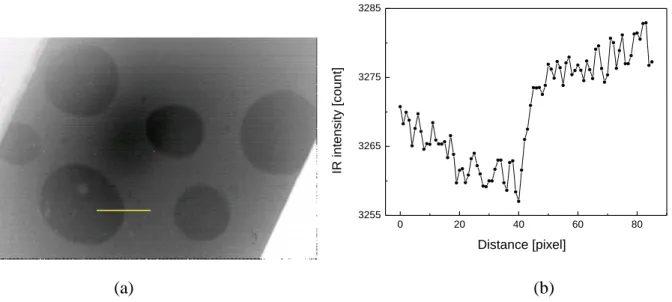 Figure 7.    (a) IR image of static air bubbles on top of the wafer under isothermal conditions at  24.1 o C, and (b) 1D IR intensity profile near the edge of a bubble