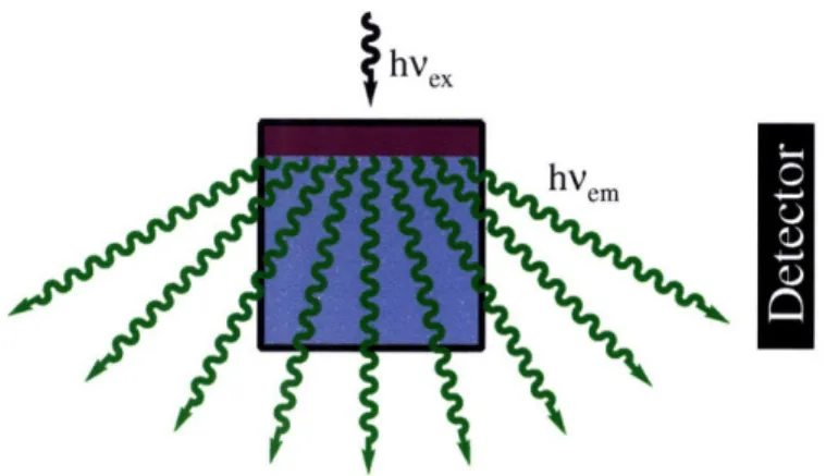 Figure 2.1.  Experimental  setup for measuring  emission  from  a film of 1.