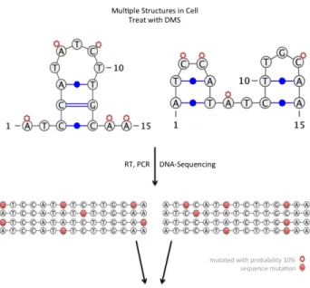 Figure 2-2: Population average obscures the signal from individual structures