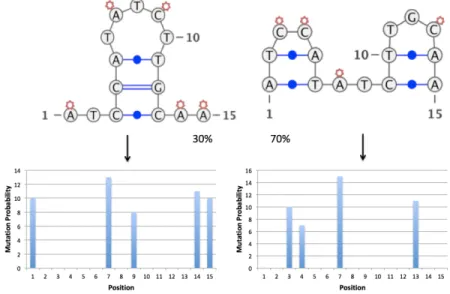 Figure 2-3: RNA Structural Heterogeneity can be represented as a mixture of multivariate Bernoulli distributions.