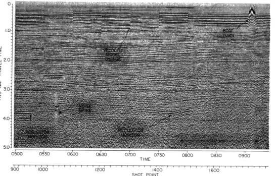 Figure  XIV-3  is  a  section  of  a  processed  multichannel  record  indicating  reflections observed  in  up  to  3