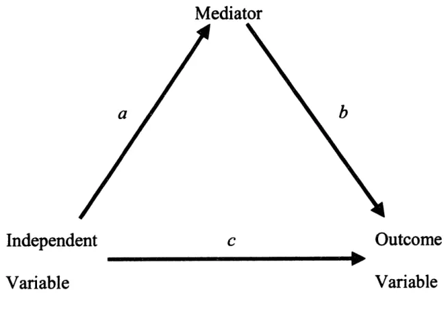Figure 2.  Mediational  model.
