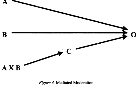 Figure 4. Mediated  Moderation
