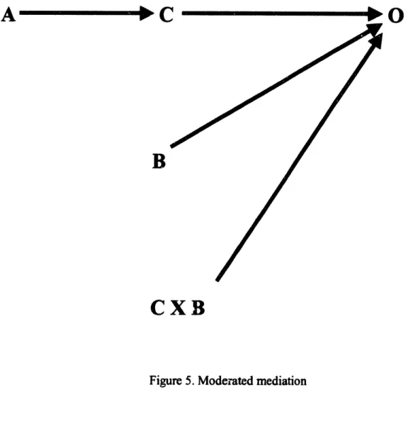 Figure  5.  Moderated  mediation
