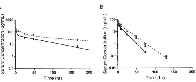 Figure 3:  Pharmacokinetic  analysis.  A)  Data  reproduction  of pharmacokinetic  study in  hFcRn transgenic  mice  from Schoch et