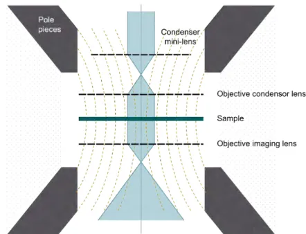 Figure 3.2: Schematic representation of the magnetic field (dashed yellow lines) inside a twin-type objective lens illustrated as a cross-section
