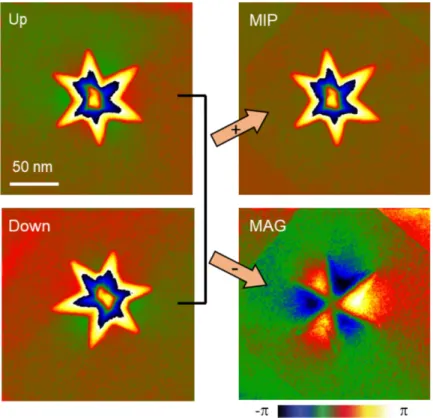 Figure 3.8: Separation of electrostatic (MIP) and magnetic (MAG) contributions to the phase shift.