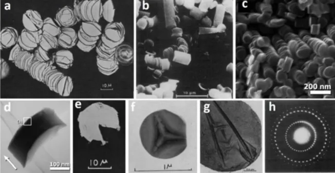 Figure 10: Images from various kinds of microscopies of columnar morphologies with very similar features obtained  by different authors