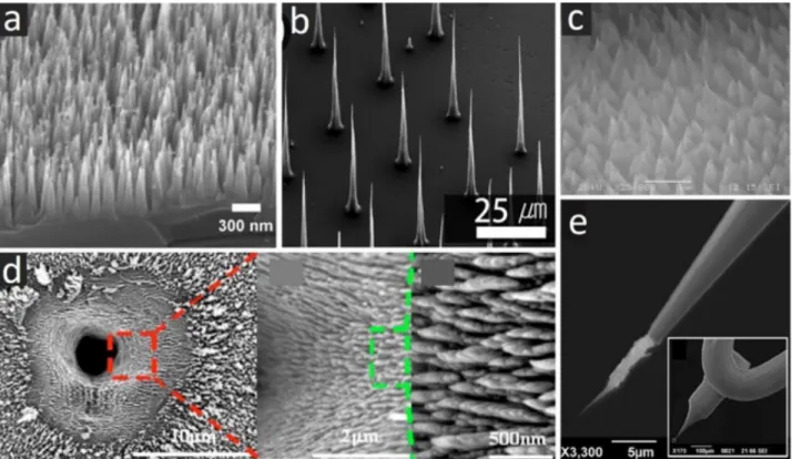 Figure  20:  Various  examples  of  conical  carbon  morphologies  tested  for  their  electron  emission  properties