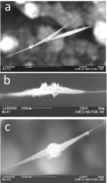 Figure 8: SEM images showing the chronological formation of the SB morphology. (a) Formation of a spindle-like  double cone onto a nanotube surface;  (b) Disordered deposition onto the thickest part of the double cone once it  reaches a threshold value of 