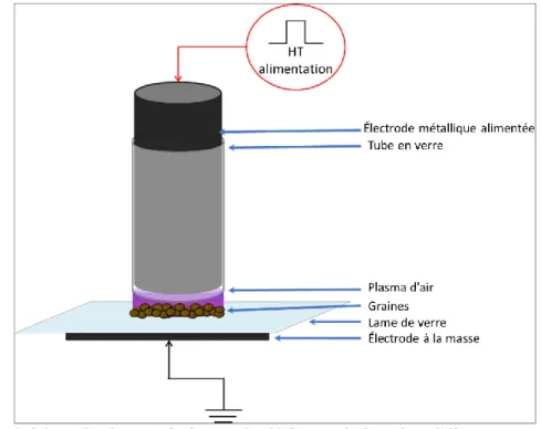 Figure  II-1  :  Schéma  du  dispositif  plasma  de  décharge  de  barrière  diélectrique  (DBD)  dans  l'air  ambiant
