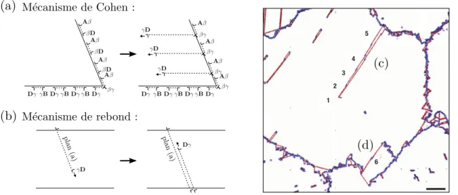 Figure I.10 – Mécanismes de nucléation de macles à partir de différents types de défauts.