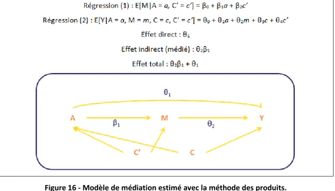 Figure 16 - Modèle de médiation estimé avec la méthode des produits.        