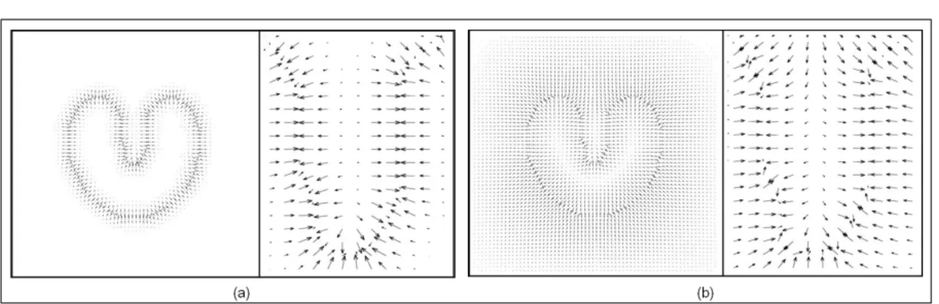 FIGURE 1.6: Énergie externe (indiquée en flèches) pour un objet qui contient des concavités : (a) gradient et (b) flux du vecteur du gradient (GVF) [Xu et Prince, 1997].