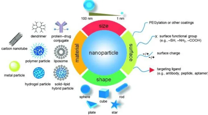 Figure 1.6: Summary of nanoparticles size, surface features, shapes and material [59]