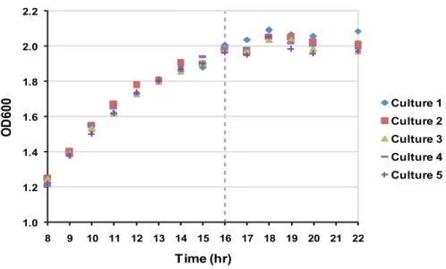 Figure 2-1: Growth curves of Escherichia coli MG1655 approaching sta- sta-tionary phase in tryptone broth at 37℃