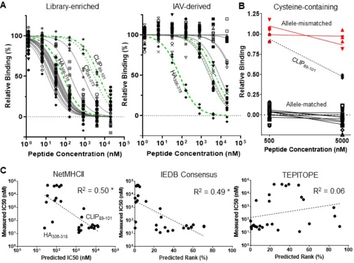 Figure  2.5.  Validation  of  library-enriched  HLA-DR401-binding  motif  reveals  consequential  gaps  and  inaccuracies in class II prediction algorithms