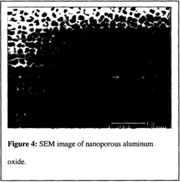 Figure 4: SEM image of nanoporous aluminum oxide.