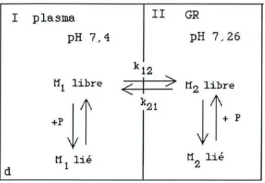 figure 10 rouges. l plasma I I GRpH7,4 pH 7,26k12t'fllibre~t12 libre+PJIk21J1+ pdt1lliét12lié