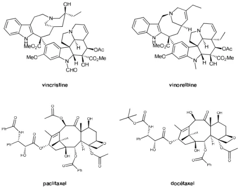 Figure 10 Exemples de molécules inhibitrices de mitose 