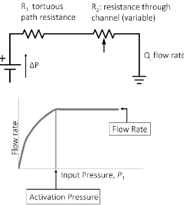Figure  4  shows  a  visualization  of  the  flow  through  the  emitter  as  computed  by  the  model