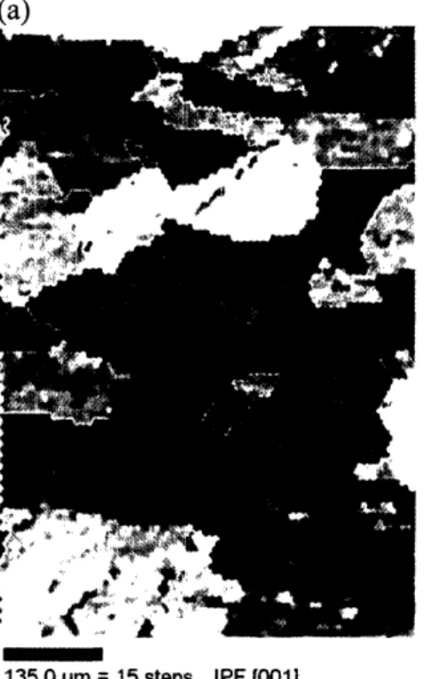 Figure  1: (a) An  OIM map  of a copper  microstructure.  The  different  colors  correspond  to different  grain  orientations  as  indicated  in the inverse  pole  figure  below  the OIM  scan