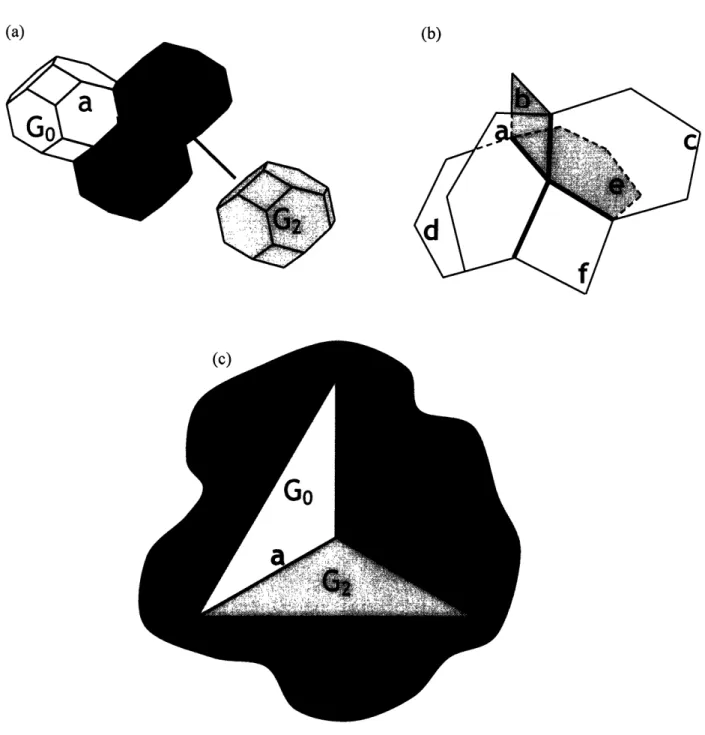 Figure  5: (a)  A schematic  illustration  of  a quadruple  node,  the point  where  four grains,  six grain boundaries,  and  four triple junctions  meet