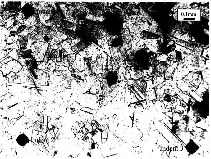 Figure  8: Optical  micrograph  of  copper.  The  black marks  in the  corners  are Vicker's  indents (labeled  1 through  3), which  were  used  as fiducial  markers