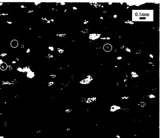 Figure  9: Optical micrograph  of  pure  aluminum.  Several  three-sided  grains  have been  identified and  are circled  in yellow  (labeled  a-c).